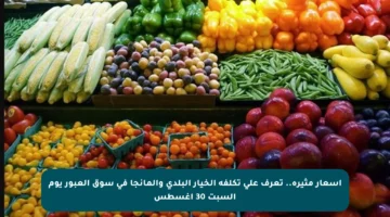 أسعار مثيرة.. تعرف على تكلفة الخيار البلدي والمانجا في سوق العبور يوم السبت 30 أغسطس